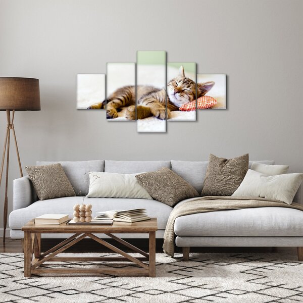 Obraz - Śpiący kotek (125x70 cm)