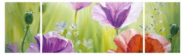 Obraz - Maki (170x50 cm)