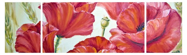 Obraz - Kwiaty maku (170x50 cm)