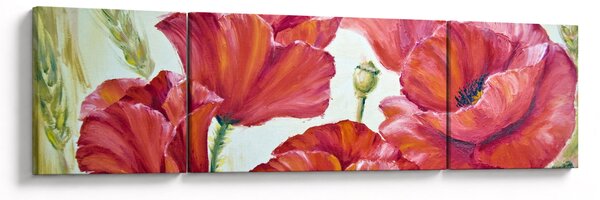 Obraz - Kwiaty maku (170x50 cm)