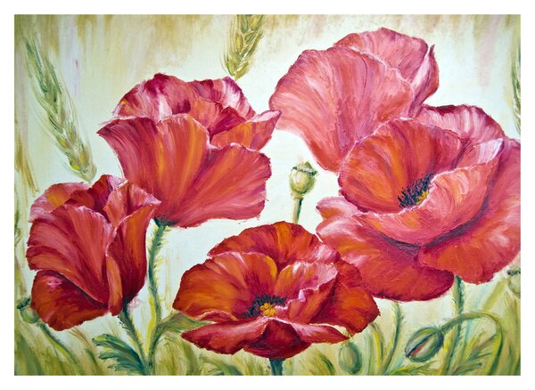 Obraz - Kwiaty maku (70x50 cm)