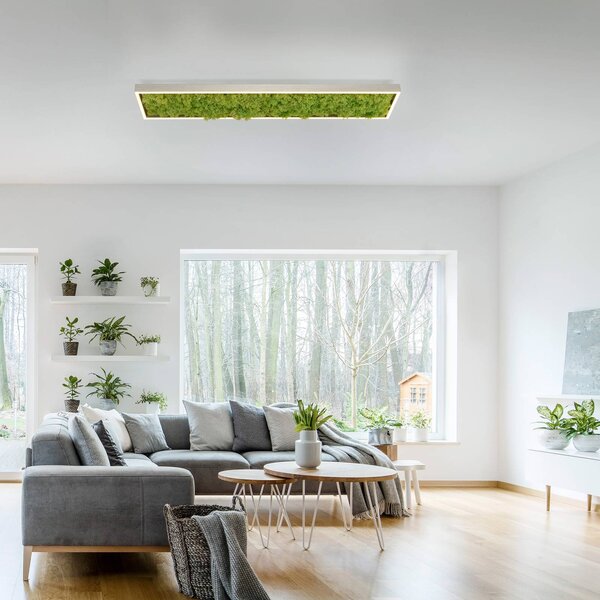 JUST LIGHT. GmbH Lampa sufitowa LED Green Knut, możliwość ściemniania, zielony, salon / jadalnia, nowoczesny