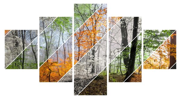 Obraz - Zmieniające się pory roku (125x70 cm)