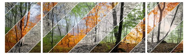 Obraz - Zmieniające się pory roku (170x50 cm)