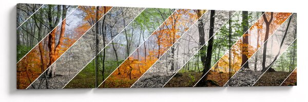 Obraz - Zmieniające się pory roku (170x50 cm)