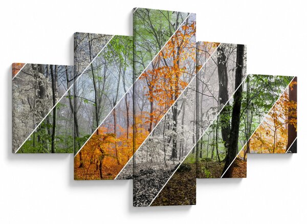 Obraz - Zmieniające się pory roku (125x70 cm)