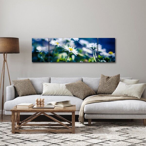 Obraz stokrotek (170x50 cm)