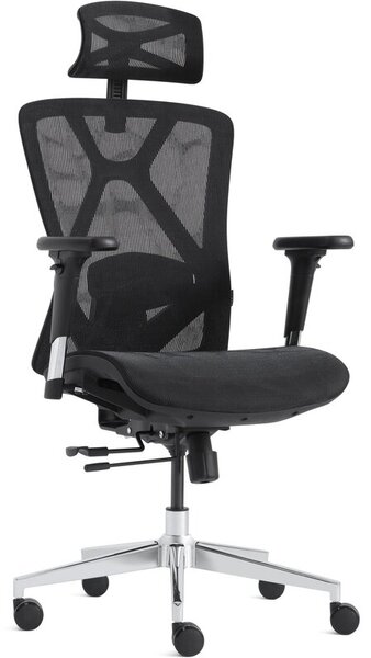 Fotel GAMVIS ErgoMaster XL Mesh Czarny