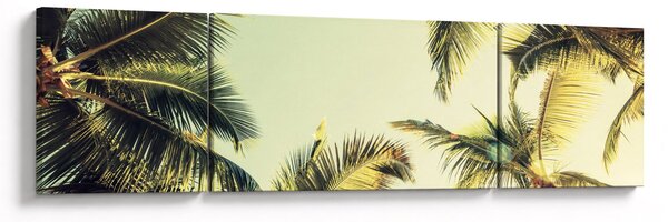 Obraz z palmami kokosowymi (170x50 cm)