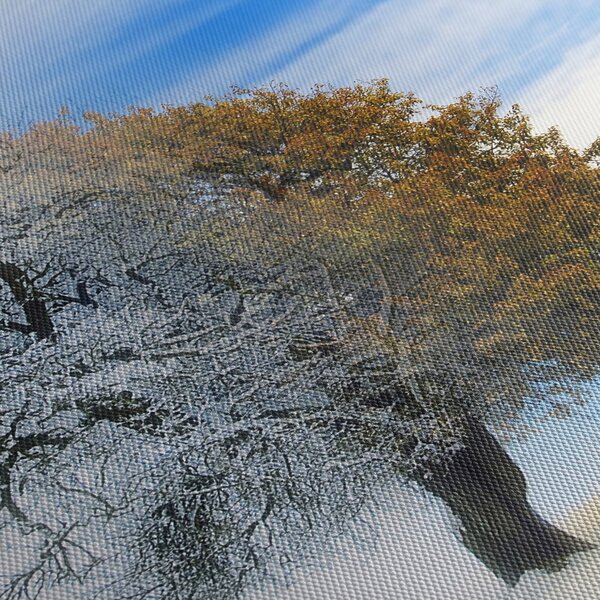 Obraz - Zmiana pór roku (70x50 cm)
