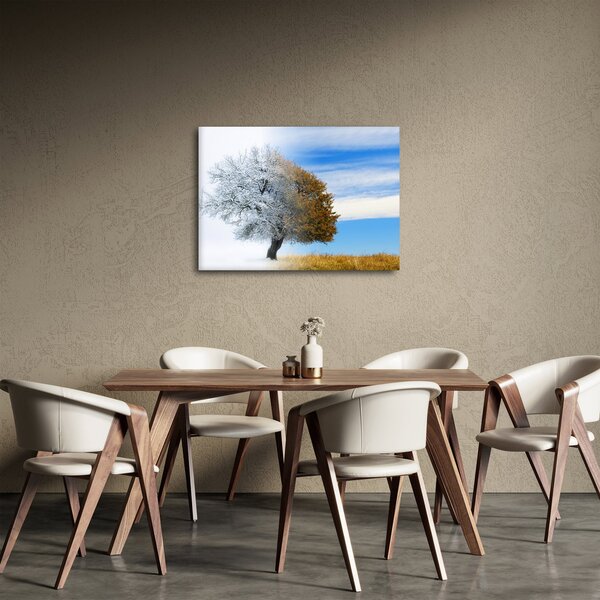 Obraz - Zmiana pór roku (70x50 cm)