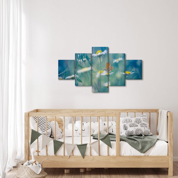Obraz - Motyl na stokrotce (125x70 cm)