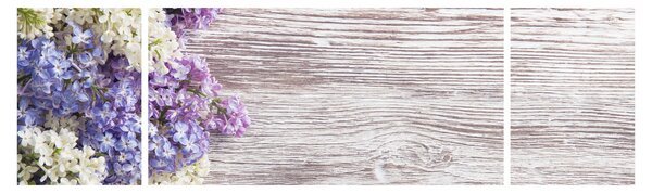 Obraz bzu na drewnie (170x50 cm)