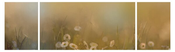 Obraz - Obraz olejny stokrotek (170x50 cm)