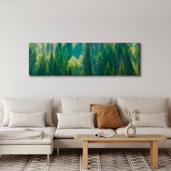 Obraz - Las sosnowy (170x50 cm)