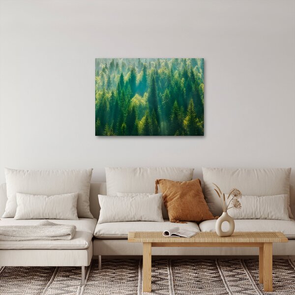 Obraz - Las sosnowy (70x50 cm)