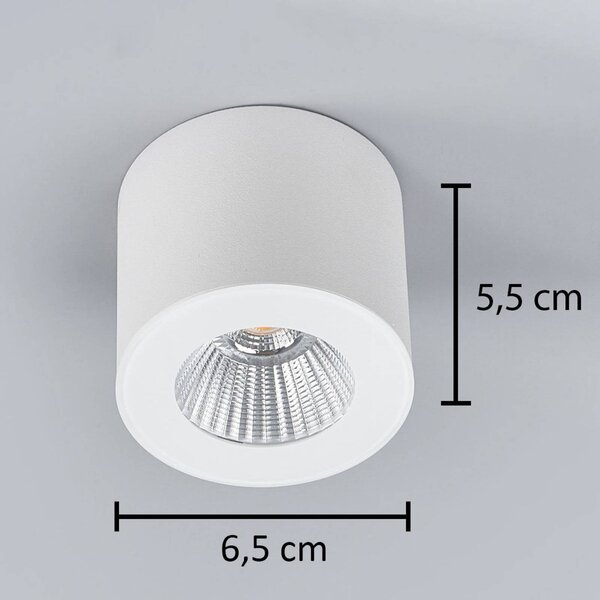 Helestra Oso spot sufitowy LED, okrągły, biały OSO, możliwość ściemniania, biały / opal, łazienka, aluminium, nowoczesny