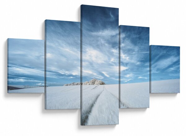 Obraz pola (125x70 cm)