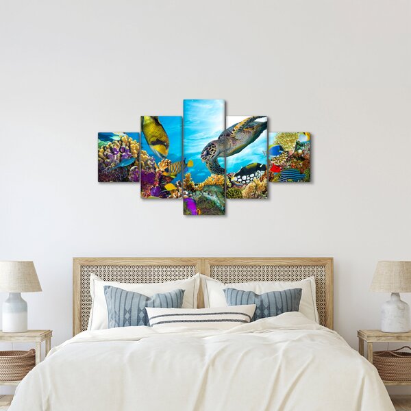 Obraz rafy koralowej (125x70 cm)