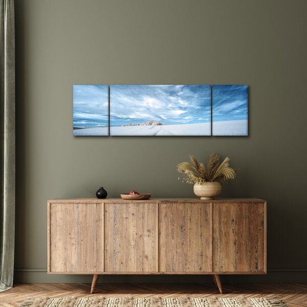 Obraz pola (170x50 cm)