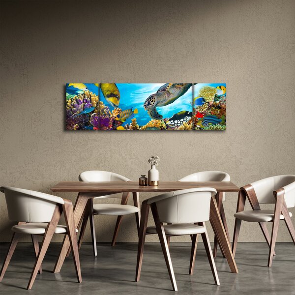 Obraz rafy koralowej (170x50 cm)