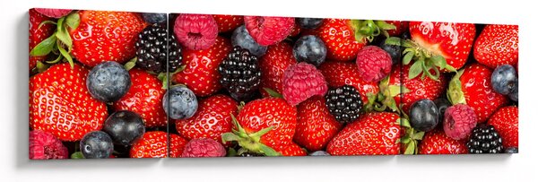Obraz - Ładunek owoców (170x50 cm)
