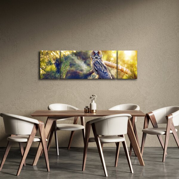 Obraz sowy na drzewie (170x50 cm)