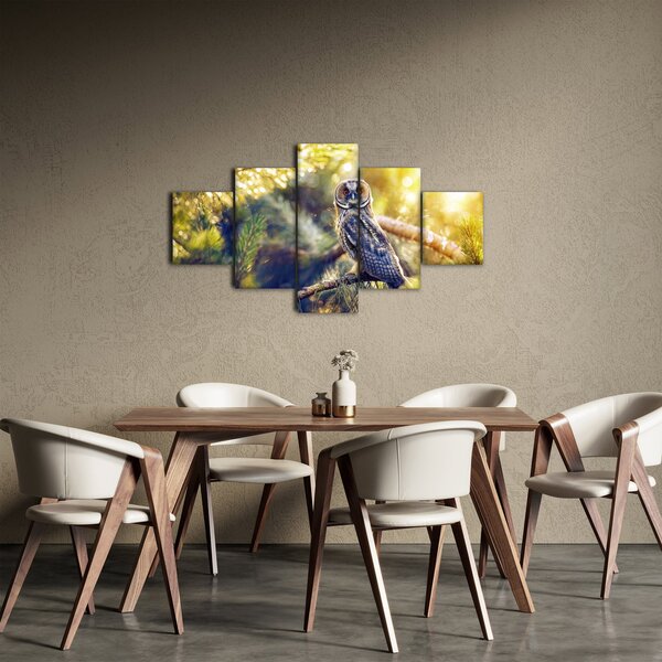Obraz sowy na drzewie (125x70 cm)
