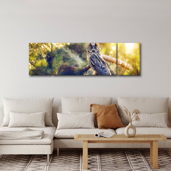 Obraz sowy na drzewie (170x50 cm)