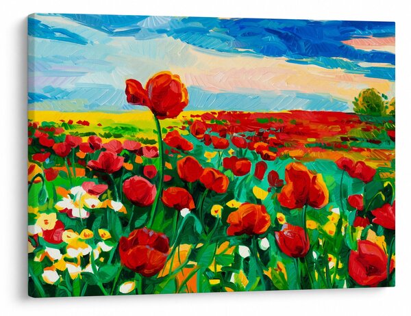 Obraz pola z makami (70x50 cm)