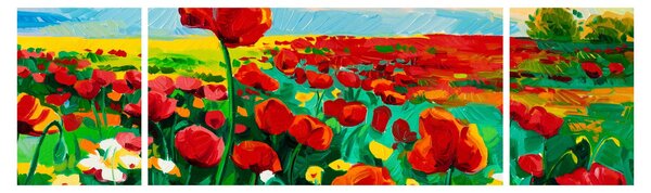 Obraz pola z makami (170x50 cm)