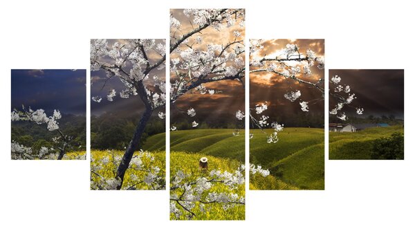 Obraz - Kwitnące drzewo w krajobrazie (125x70 cm)