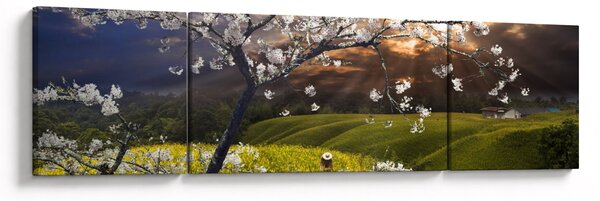 Obraz - Kwitnące drzewo w krajobrazie (170x50 cm)