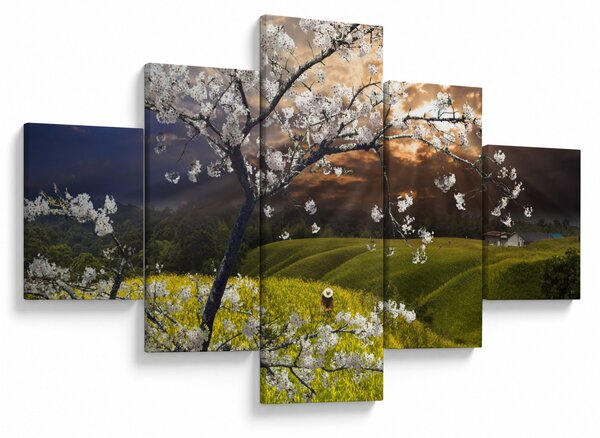 Obraz - Kwitnące drzewo w krajobrazie (125x70 cm)