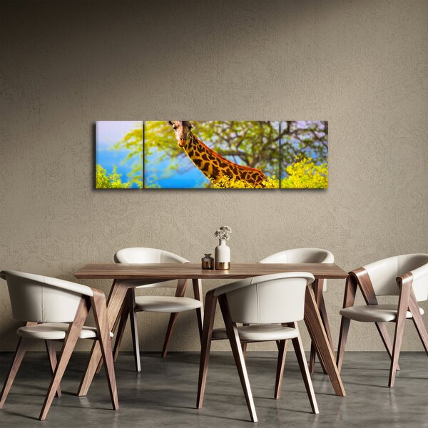 Obraz żyrafy w Afryce (170x50 cm)