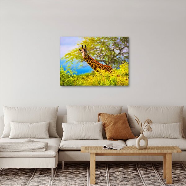 Obraz żyrafy w Afryce (70x50 cm)