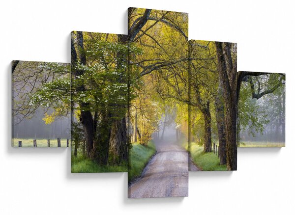 Zdjęcie - Smoky Mountains, Gatlinburg, USA (125x70 cm)