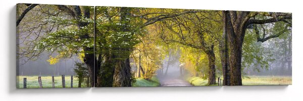 Zdjęcie - Smoky Mountains, Gatlinburg, USA (170x50 cm)