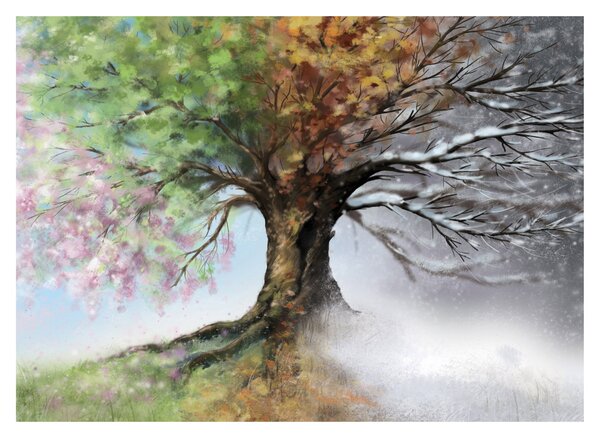 Obraz - Drzewo czterech pór roku (70x50 cm)