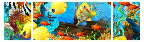 Obraz - Kolorowa rafa koralowa (170x50 cm)
