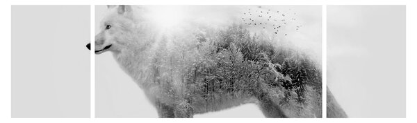 Obraz - Wilk arktyczny odzwierciedla dziki krajobraz (170x50 cm)