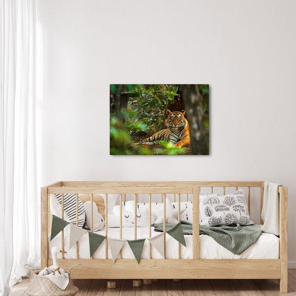 Obraz odpoczywającego tygrysa (70x50 cm)