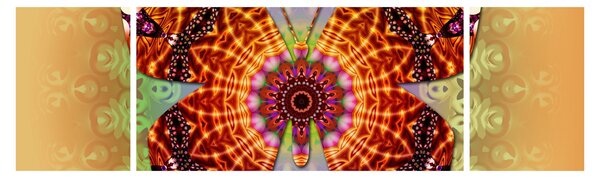 Obraz - Etno motyl (170x50 cm)