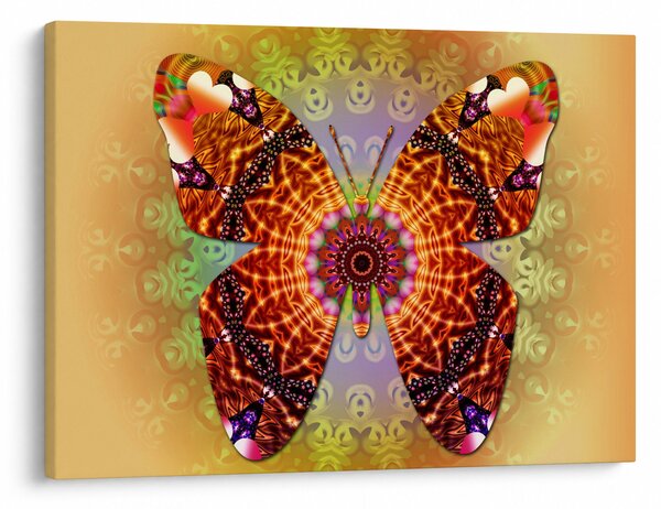 Obraz - Etno motyl (70x50 cm)