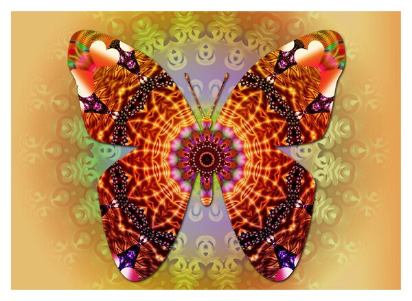 Obraz - Etno motyl (70x50 cm)