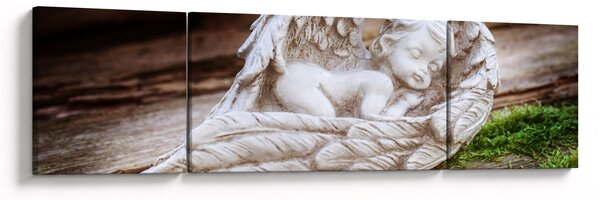 Obraz - Śpiący anioł (170x50 cm)