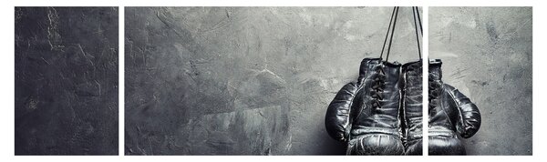 Obraz rękawic bokserskich (170x50 cm)