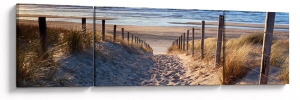 Obraz - Droga na plażę Morza Północnego, Holandia (170x50 cm)
