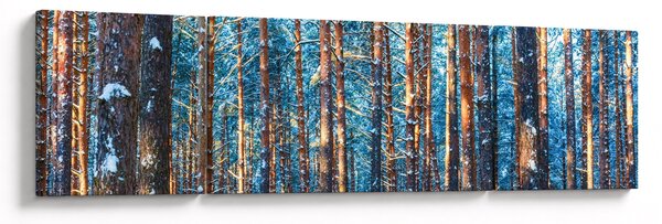 Obraz - Zimowy las (170x50 cm)