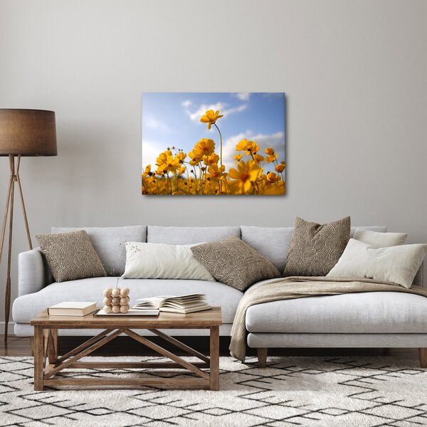 Obraz pola z jasnożółtymi kwiatami (70x50 cm)